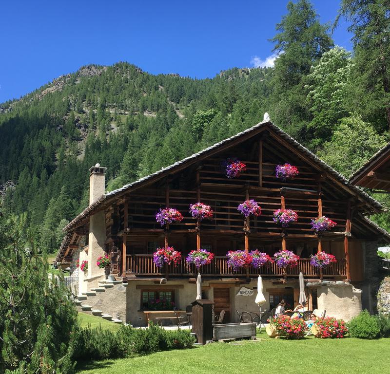 Wongade Hotel Gressoney-la-Trinité Eksteriør billede